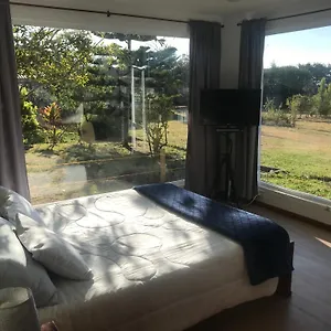 Hotel Apricot