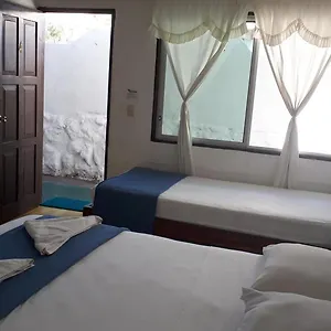 ** Guest house Darwin Ecuador