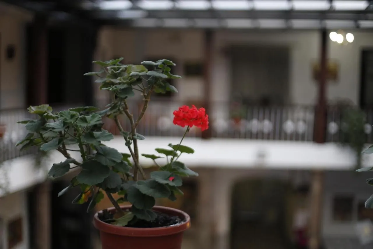 San Marcos Cultural & Guesthouse Quito Guest house